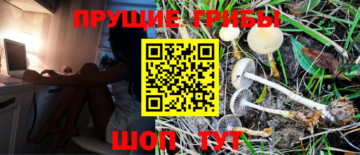Галлюциногенные грибы GOLDEN TEACHER Саяногорск